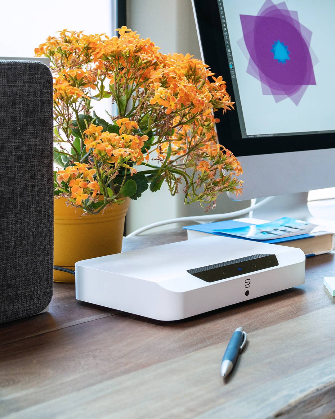 POWERNODE EDGE von BLUESOUND